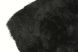 Karpet Pittore 240x340cm anthracite