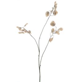 Kunstbloem Varenzo judaspenning M bruin