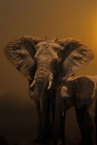 Wanddecoratie IMMAGINI