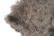 Karpet Pittore 200x290cm grey