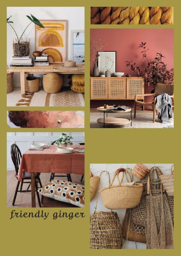 Friendly Ginger