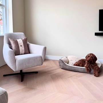 prontos-blog-afbeelding-nieuw_1